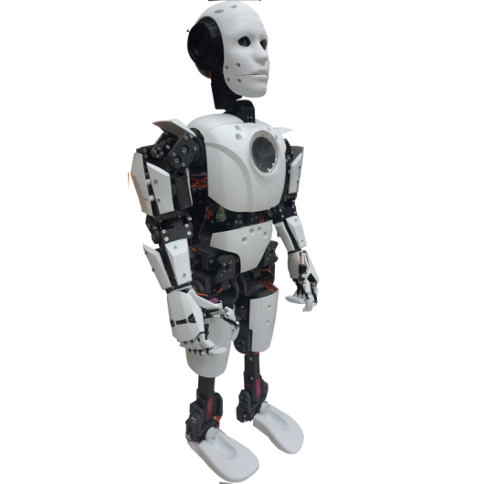 Full Body Bionic Robot Set