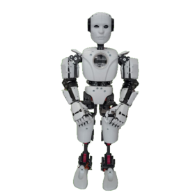 Full Body Bionic Robot Set