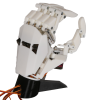 Bionic Hand